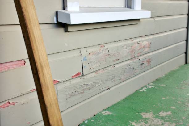 Best Aluminum Siding Installation  in Scotland Neck, NC