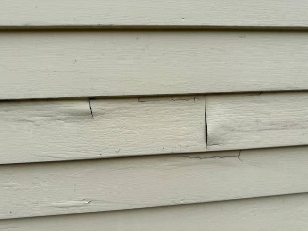 Affordable siding repair and maintenance services in Scotland Neck, NC