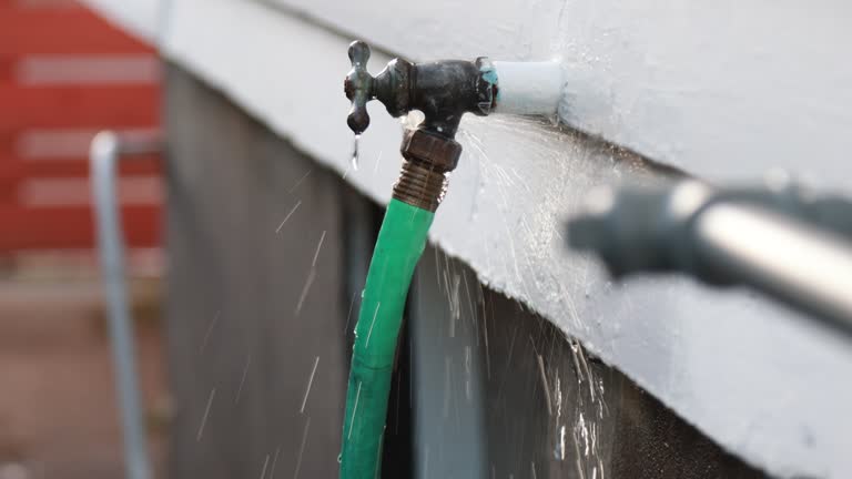  Scotland Neck, NC Siding Installation Pros